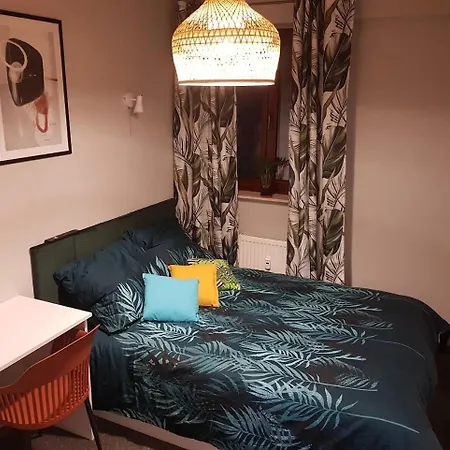 3 Wygodny W Sercu Wroclawia ゲストハウス ヴロツワフ